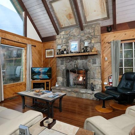 Cozy Bear 856 Villa Гетлинбург Екстериор снимка